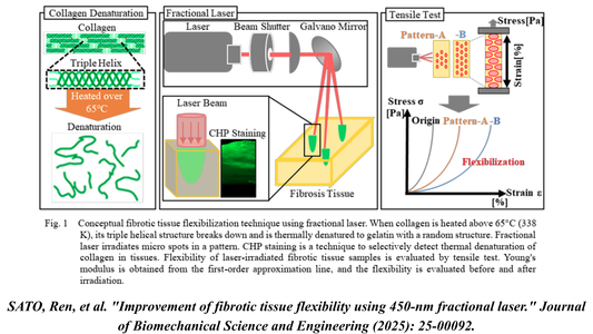 CHP Staining: Unlocking a New Therapeutic Strategy for Fibrosis